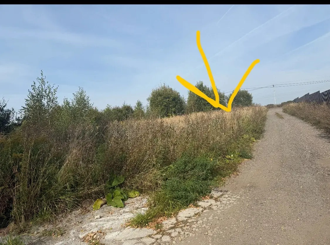 ИДЕАЛЬНЫЙ УЧАСТОК В ЧЕХОВСКОМ РАЙОНЕ (д. Алферово)

Продается ровный прямоугольный участок в тихом и живописном месте. 

✅ ДОСТУПНОСТЬ КРУГЛЫЙ ГОД: Шикарный асфальтированный подъезд к самой границе участка. 
✅ ЭКОНОМИЯ НА ВЗНОСАХ: Электричество по «сельскому тарифу». Деревня - взносов.
✅ ГОТОВ К СТР